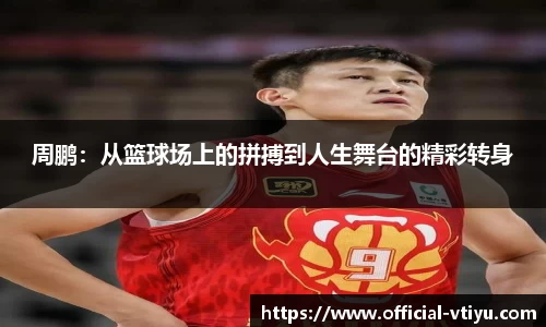 v体育官方网站