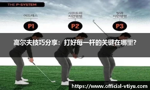 v体育官方网站